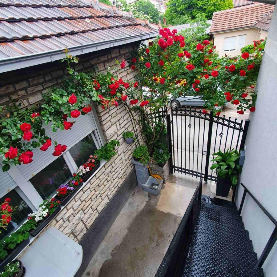 Fortress Apartments Ni Kültér fotó